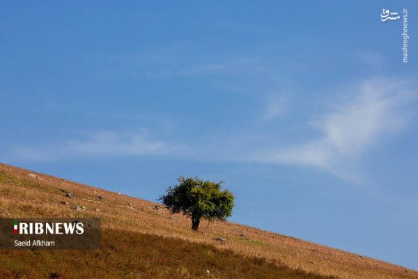  عکس دریاچه در فصل پاییزی