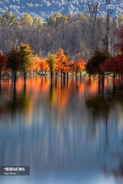  عکس دریاچه در فصل پاییزی