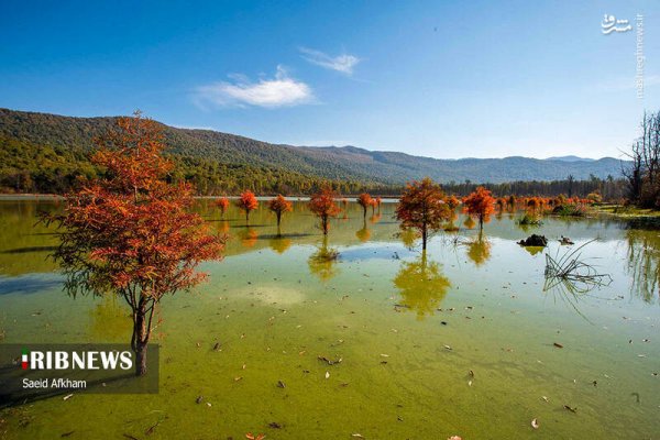  عکس دریاچه در فصل پاییزی