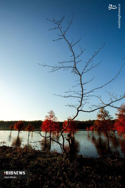  عکس دریاچه در فصل پاییزی