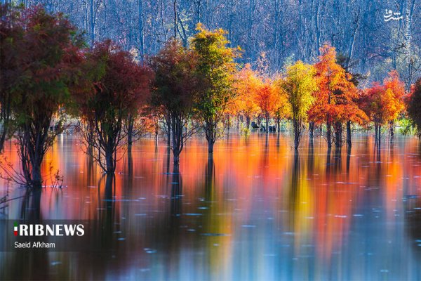  عکس دریاچه در فصل پاییزی