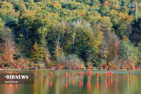  عکس دریاچه در فصل پاییزی