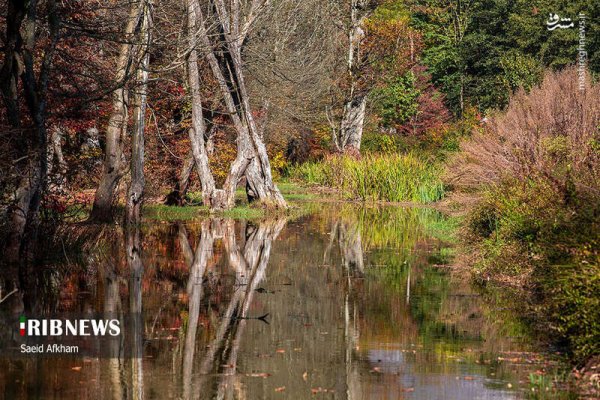  عکس دریاچه در فصل پاییزی