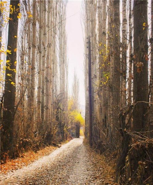 عکس طبیعت پاییزی رنگارنگ