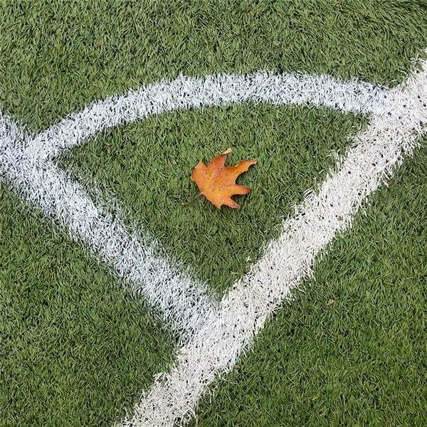  عکس طبیعت پاییزی رنگارنگ