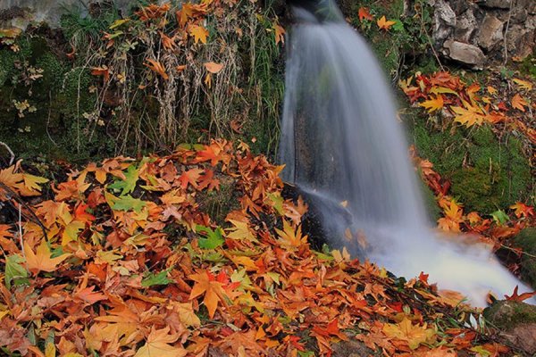  عکس طبیعت پاییزی رنگارنگ