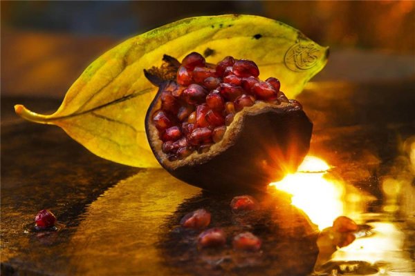  عکس طبیعت پاییزی رنگارنگ