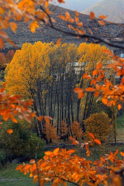  عکس طبیعت پاییزی رنگارنگ