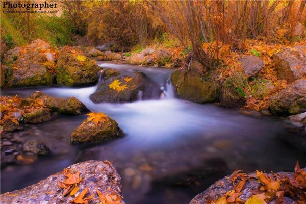  عکس طبیعت پاییزی رنگارنگ