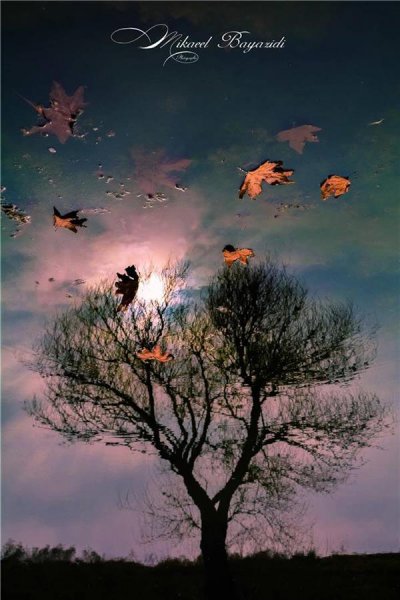  عکس طبیعت پاییزی رنگارنگ