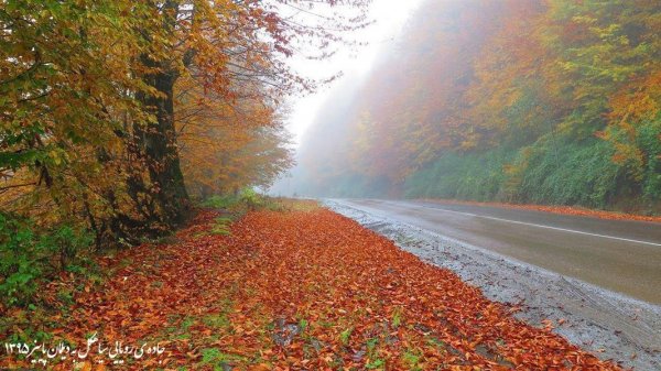  عکس طبیعت پاییزی رنگارنگ