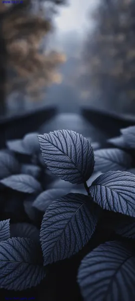  عکس های لوکس