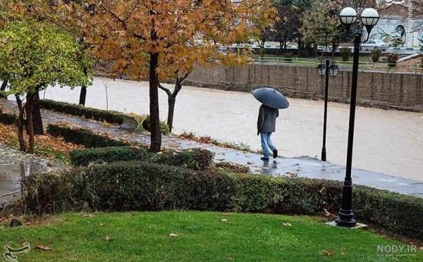  عکس پاییزی باران