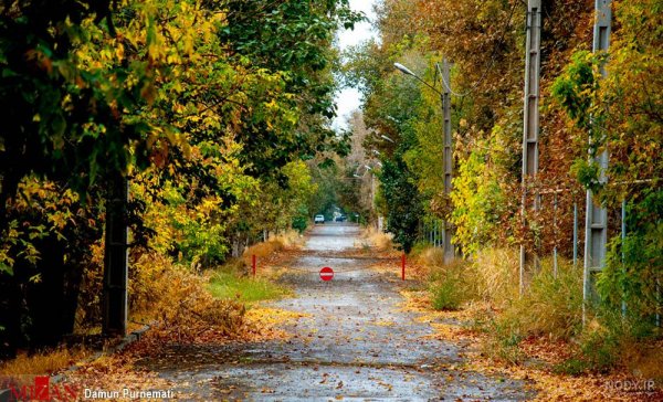  عکس پاییزی باران