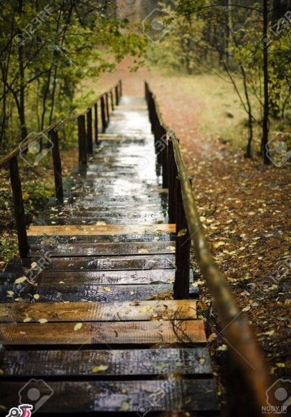  عکس پاییزی باران