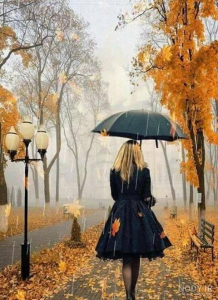  عکس پاییز بارانی