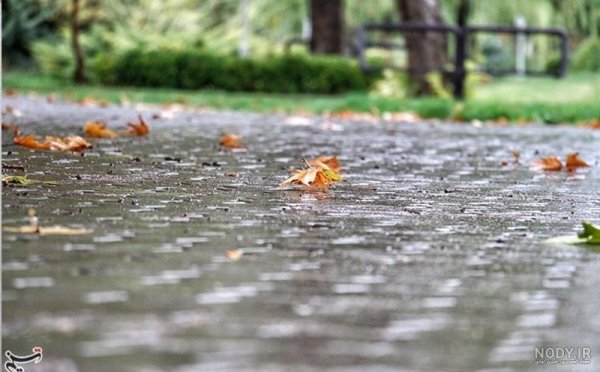  عکس پاییز بارانی