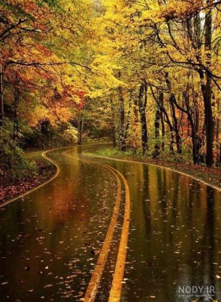  عکس پاییز بارانی