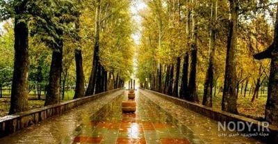  عکس پاییز بارانی
