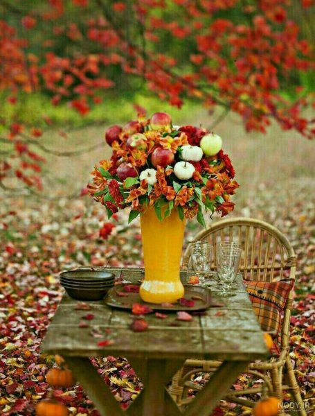  عکس پاییز بارانی