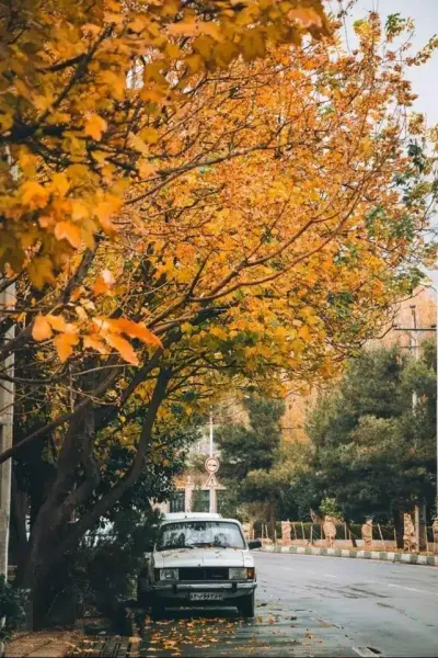  عکس بارش باران در پاییز