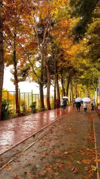  عکس بارش باران در پاییز