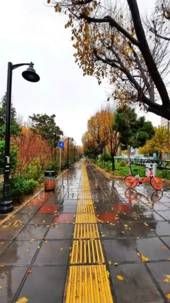  عکس بارش باران در پاییز