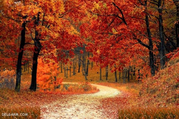  عکس منظره فصل پاییز