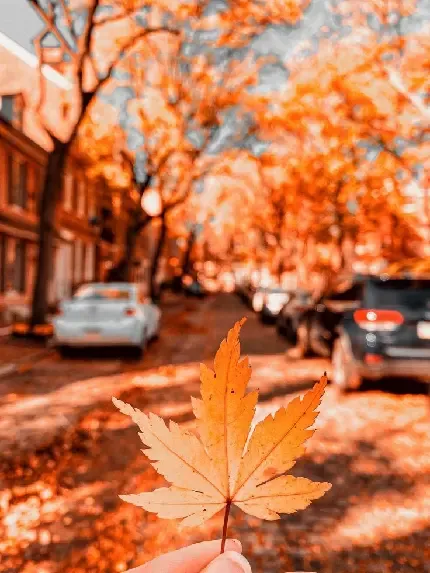  عکس پروفایل پاییز