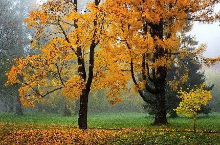  عکس از پاییز