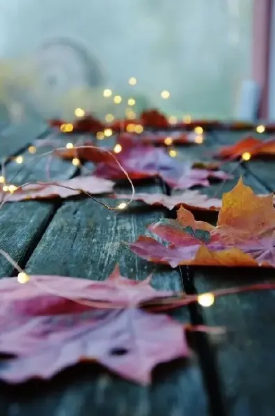  عکس از پاییز