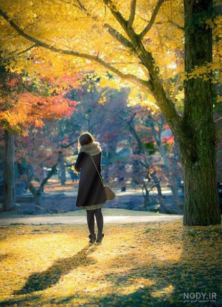  بک گراند پاییزی فانتزی