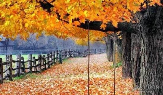  بک گراند پاییزی فانتزی
