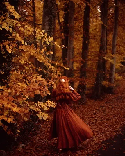  بک گراند عکس پاییز