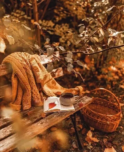  عکس پروفایل درمورد پاییز