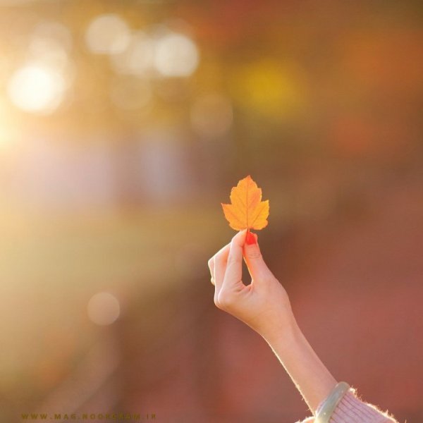  عکس استوری فصل پاییز