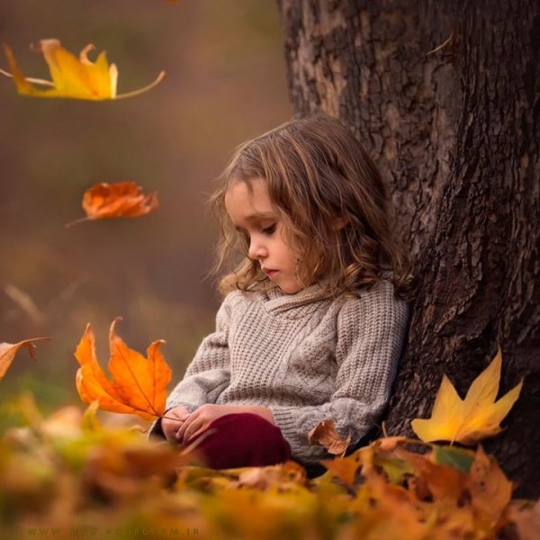  عکس استوری فصل پاییز