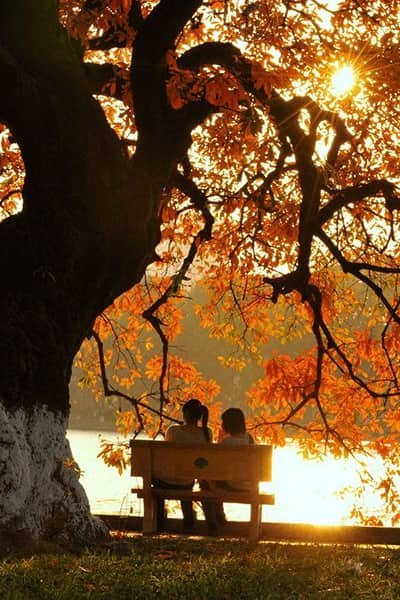  عکس فصل پاییز برای تصویر زمینه