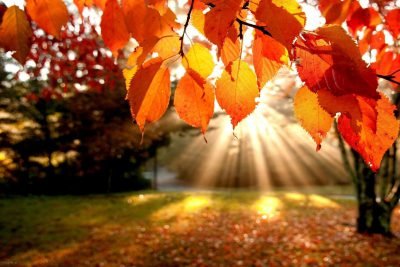 عکس فصل پاییز برای والپیپر