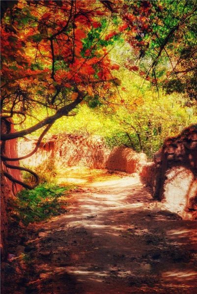  عکس های هنری فصل پاییز