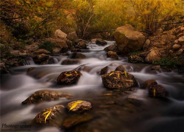  عکس های هنری فصل پاییز