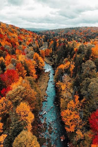 عکس پاییزی غمگین