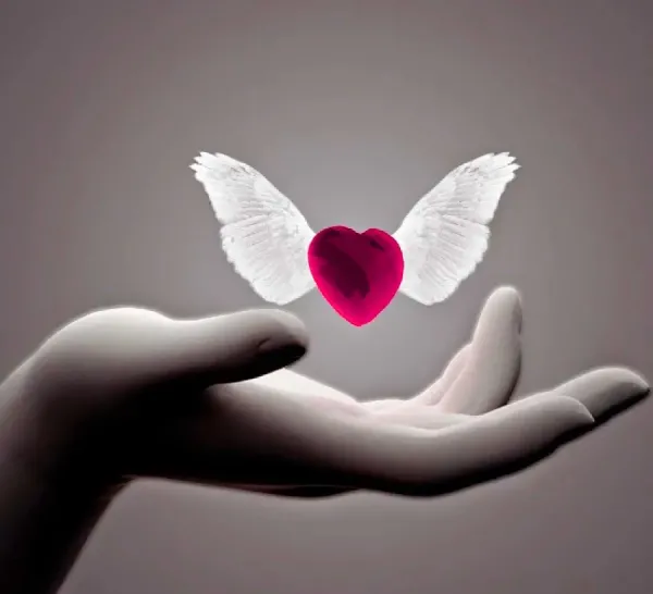  عکس های لوکس برای پروفایل