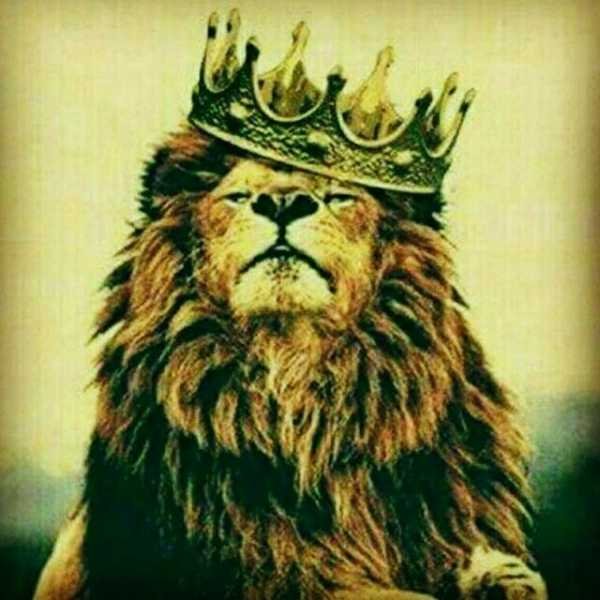  پروفایل خفن پسرانه لاتی