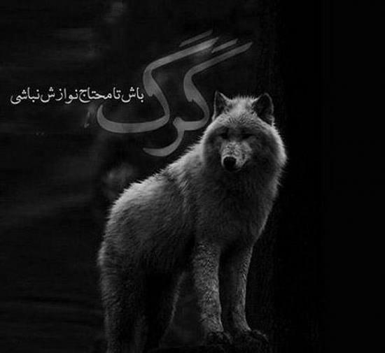  عکس پسرانه لاتی برای پروفایل