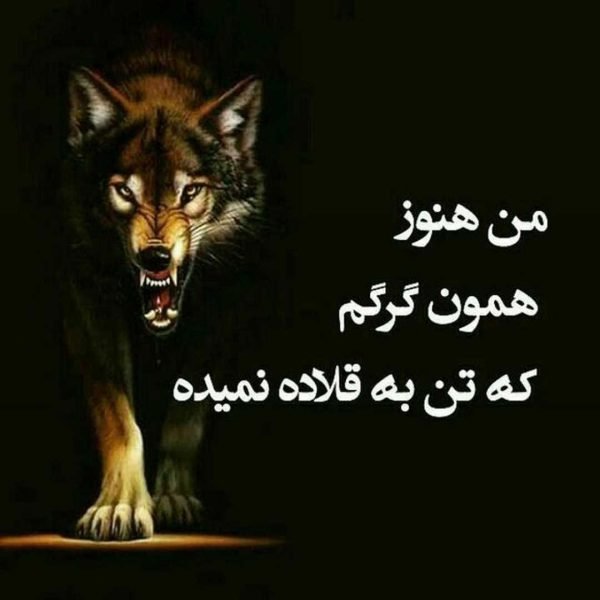  عکس نوشته لاتی با متن