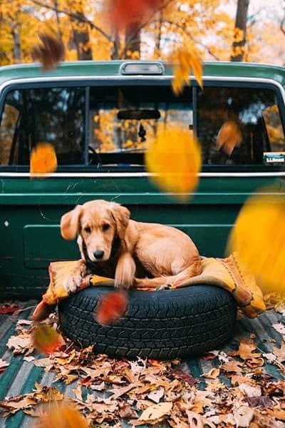  عکس پروفایل پسرانه پاییزی