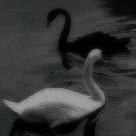  دانلود عکس پروفایل پسرانه عاشقانه