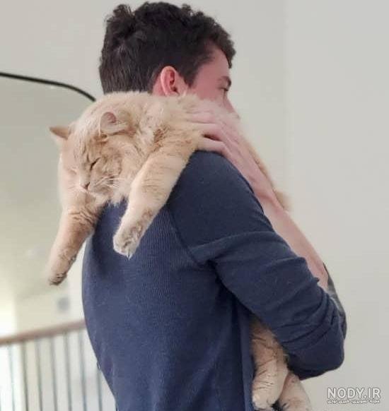 عکس پسر خوشگل با گربه برای پروفایل