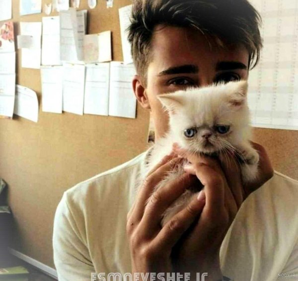  عکس پسر خوشگل با گربه برای پروفایل